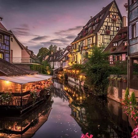 Logement Cosy Et Spacieux, A 2 Pas Du Centre-Ville Colmar Bagian luar foto