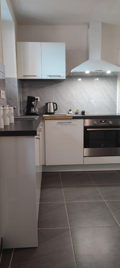 Logement Cosy Et Spacieux, A 2 Pas Du Centre-Ville Colmar Bagian luar foto