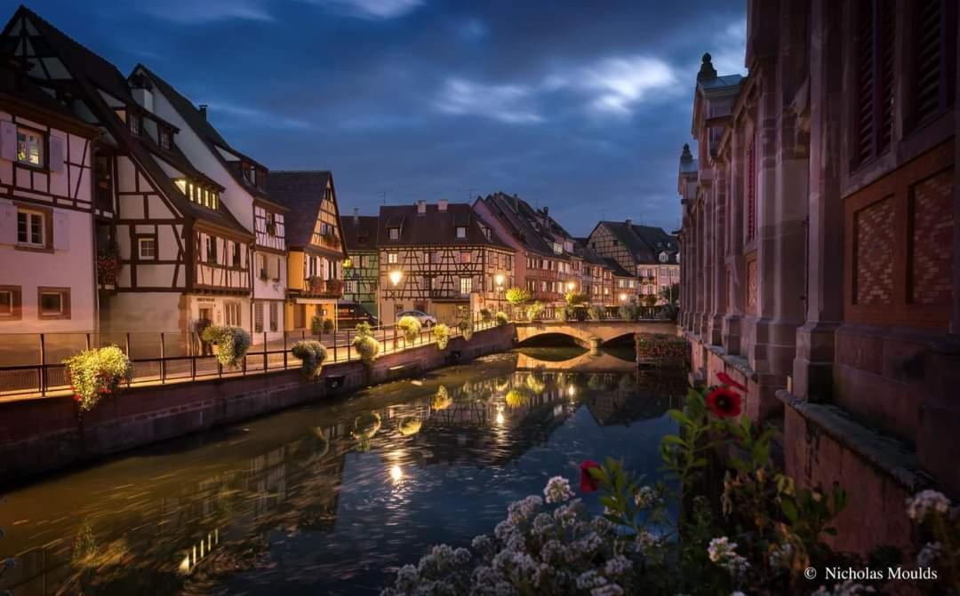 Logement Cosy Et Spacieux, A 2 Pas Du Centre-Ville Colmar Bagian luar foto